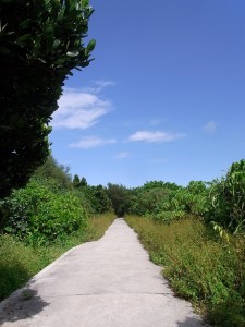 アーユルヴェーダ　さいたま市