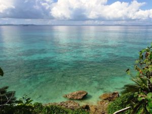 さいたま市アーユルヴェーダ　ローヒニー　体質気質