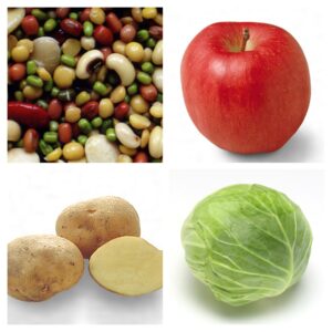 アーユルヴェーダ　味　渋　さいたま市