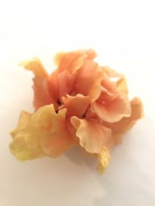 さいたま市　アーユルヴェーダ