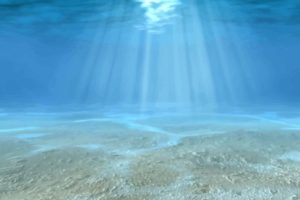 さいたま市アーユルヴェーダ