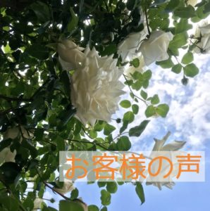 さいたま市　アーユルヴェーダ　口コミ