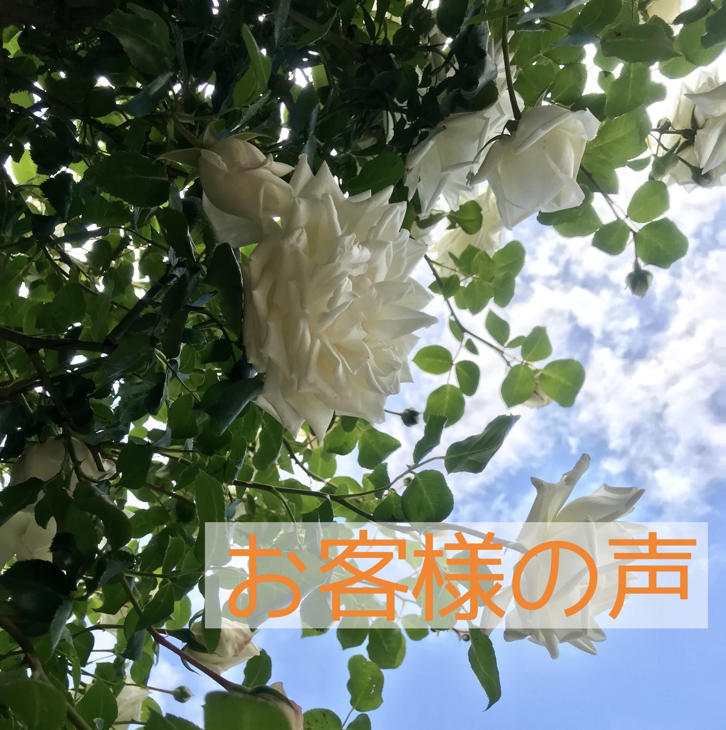 さいたま市　アーユルヴェーダ　口コミ